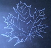 Uncertaintys Leaf Drawing by Jason Padgett Uncertaintys Leaf Drawing by Jason Padgett