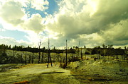 Uncommon landscape Photograph by Jeff Swan