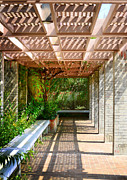 Under The Pergula Photograph by Kathy Baccari Under The Pergula Photograph by Kathy Baccari