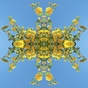 Unnatural 193 (digitally Manipulated Photo) Photograph by Giovanni Cafagna