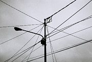 Urban Abstract Photograph by Shaun Higson