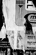 March Photograph by Roseanne Jones