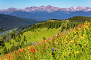 USA, Colorado, Shrine Pass, Vail Photograph by Jaynes Gallery