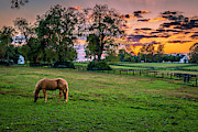 USA, Lexington, Kentucky Photograph by Rona Schwarz