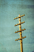 Utilitarian Photograph by Melanie Alexandra Price