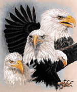 Valor Drawing by Barbara Keith