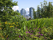 Vancouver Garden Photograph by Brenda Kean
