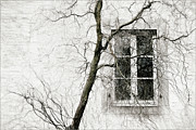 Veiled Window Photograph by Gilbert Claes