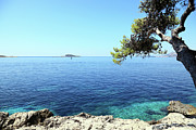 View Of Dubrovnik From Cavtat Peninsula Photograph by Vuk8691
