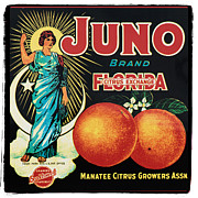 Vintage Florida Food Signs 1 - Juno Brand - Square  Photograph by Ian Monk