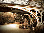 Vintage Gothic Bridge Photograph by Jessica Jenney