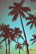 Vintage Tropical Palms Photograph by Mr Doomits