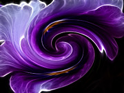 Viola Swirl Photograph by Yvonne Johnstone