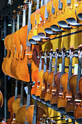 Violin Shop Photograph by Salvator Barki
