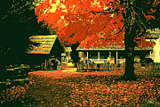 Visitors at the farm Digital Art by CHAZ Daugherty