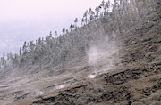 Volcanic Ash Photograph by Science Photo Library