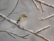 Waiting Out the Storm Pastel by Carol Corliss