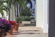 Walkway to Paradise Photograph by Mary Lou Chmura