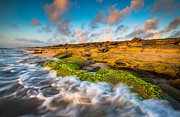 Washington Oaks State Park Coquina Rocks Beach St. Augustine FL Beaches Photograph by Dave Allen