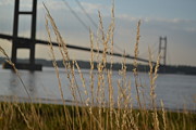 Wasting Time By The Humber Photograph by Scott Lyons