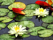 Water Lily Pond in Autumn Photograph by Susan Savad Water Lily Pond in Autumn Photograph by Susan Savad