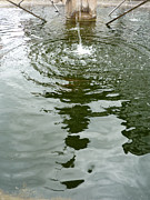 Water Reflection Photograph by Eva-Maria Di Bella