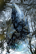Water World Digital Art by Lisa Yount