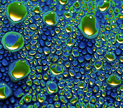 Wax Holds Up Photograph by Joe Schofield