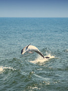 Weeeeeeee Photograph by Pete Federico