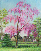 Weeping Cherry Painting by Susan Savad Weeping Cherry Painting by Susan Savad