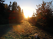 Welcoming Dawn Photograph by Rory Siegel