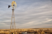 West Texas Sentry Photograph by Melany Sarafis