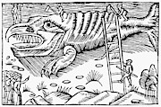Whale Dissection, 1555 Painting by Granger Whale Dissection, 1555 Painting by Granger