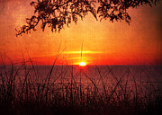When Evening Falls Photograph by Kathi Mirto