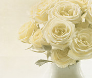Whispers of Chiffon - Roses Photograph by Kim Hojnacki Whispers of Chiffon - Roses Photograph by Kim Hojnacki