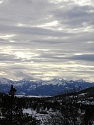 White Excellence of Winter Photograph by William McCoy