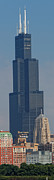 Willis Tower Vertical Photograph by Jonathan Davison Willis Tower Vertical Photograph by Jonathan Davison