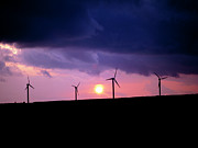 Wind Farm At Delabole In Cornwall Photograph by Science Photo Library