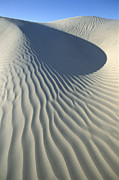 Wind Patterns In Dunes Magdalena Island Photograph by Tui De Roy Wind Patterns In Dunes Magdalena Island Photograph by Tui De Roy