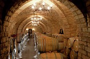 Wine Barrels In A Winery Photograph by Science Photo Library