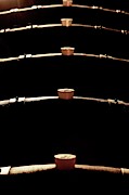 Wine Barrels Photograph by Science Photo Library
