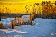 Winter Afternoon Photograph by Cathy Kovarik