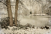 Winter Freeze Photograph by Bonnie Bruno