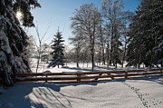 winter in the Harz area Photograph by Andreas Levi