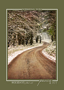 Winter Path Scenic Landscape Christmas Cards Photograph by Jai Johnson