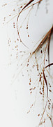 Winter Tears - 1 Photograph by Linda Shafer