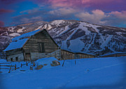 Winter's Touch Photograph by Kevin Dietrich
