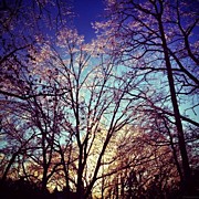 Winter's Warmth Photograph by Natasha Marco