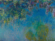 Wisteria  Painting by Georgia Clare