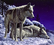 Wolf Painting - Night Watch Painting by Crista Forest